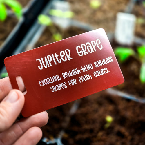 Reusable Personalized Garden Marker Plant Tags • Fruit Tree Labels